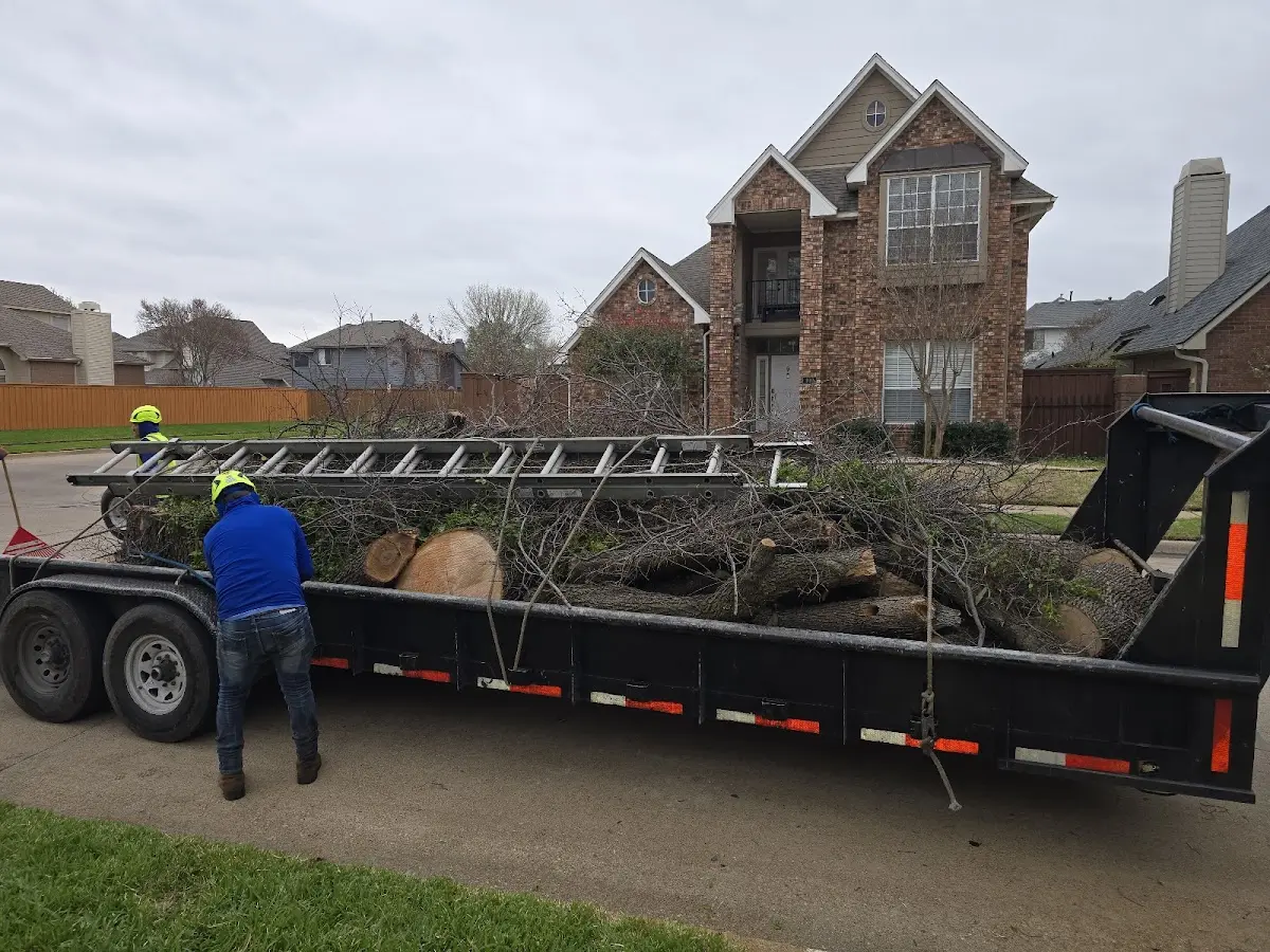 Expert Tree Pest Control with proper safety equipment in Bolivar